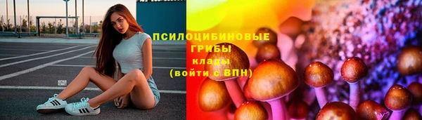 ПСИЛОЦИБИНОВЫЕ ГРИБЫ Алексин