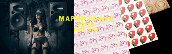 ПСИЛОЦИБИНОВЫЕ ГРИБЫ Алексин
