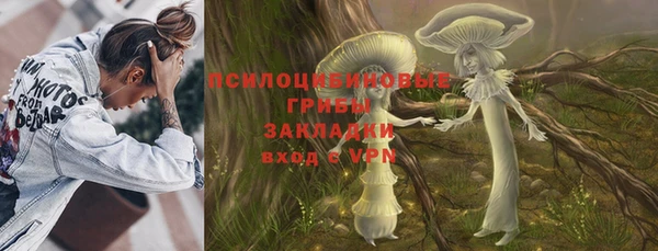ALPHA-PVP Алексеевка